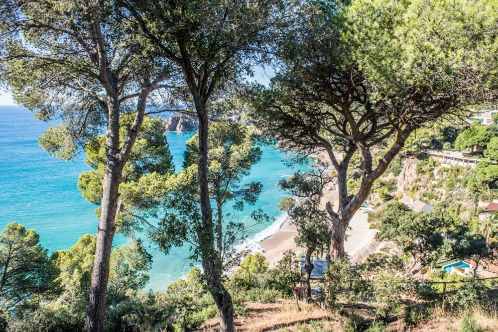 Hotel Camping Sunissim Cala Llevado 4 By Locatour Tossa de Mar Exteriér fotografie
